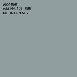 #909E9E - Mountain Mist Color Image